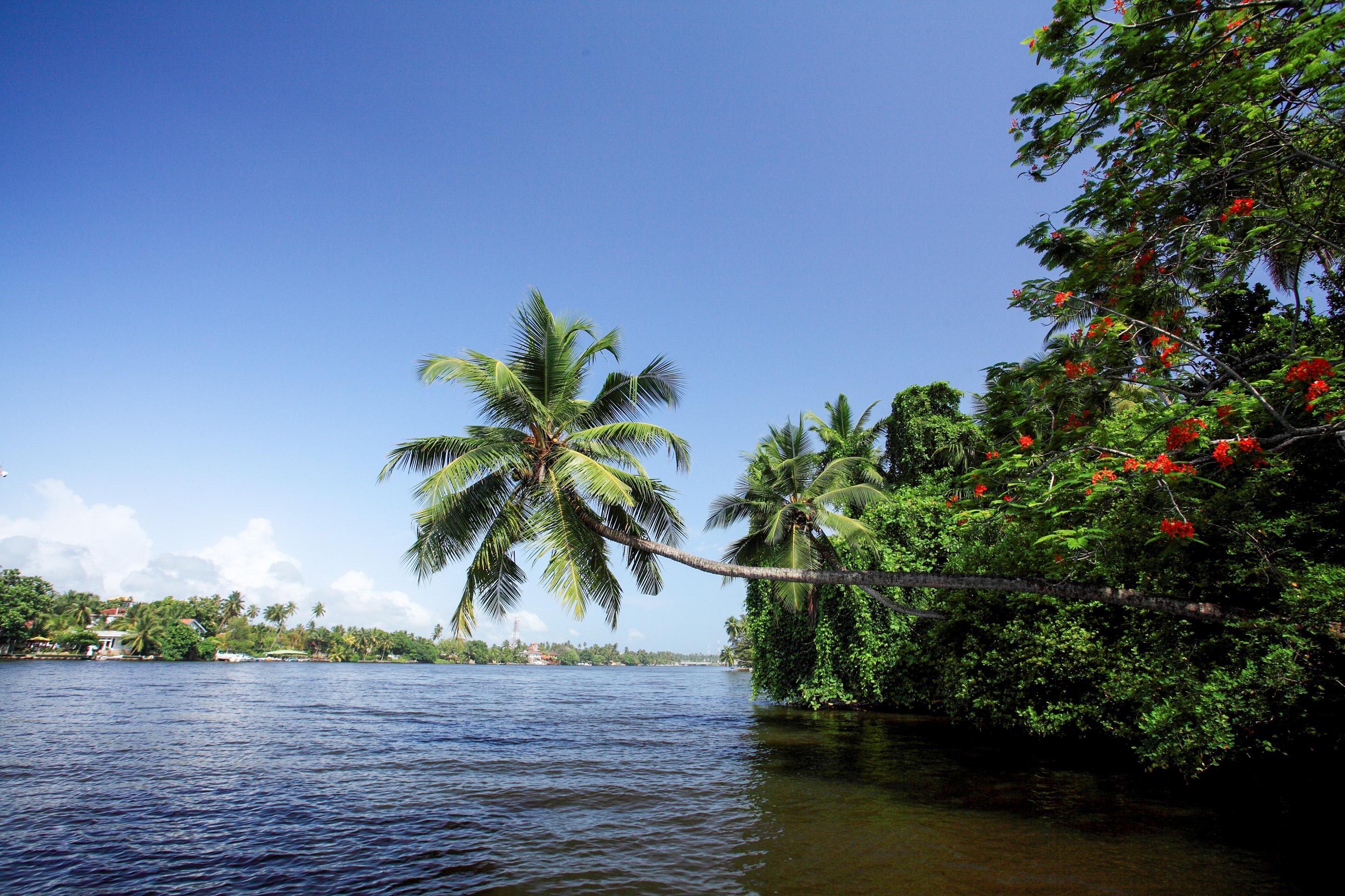 Nh Bentota Ceysands Resort Extérieur photo